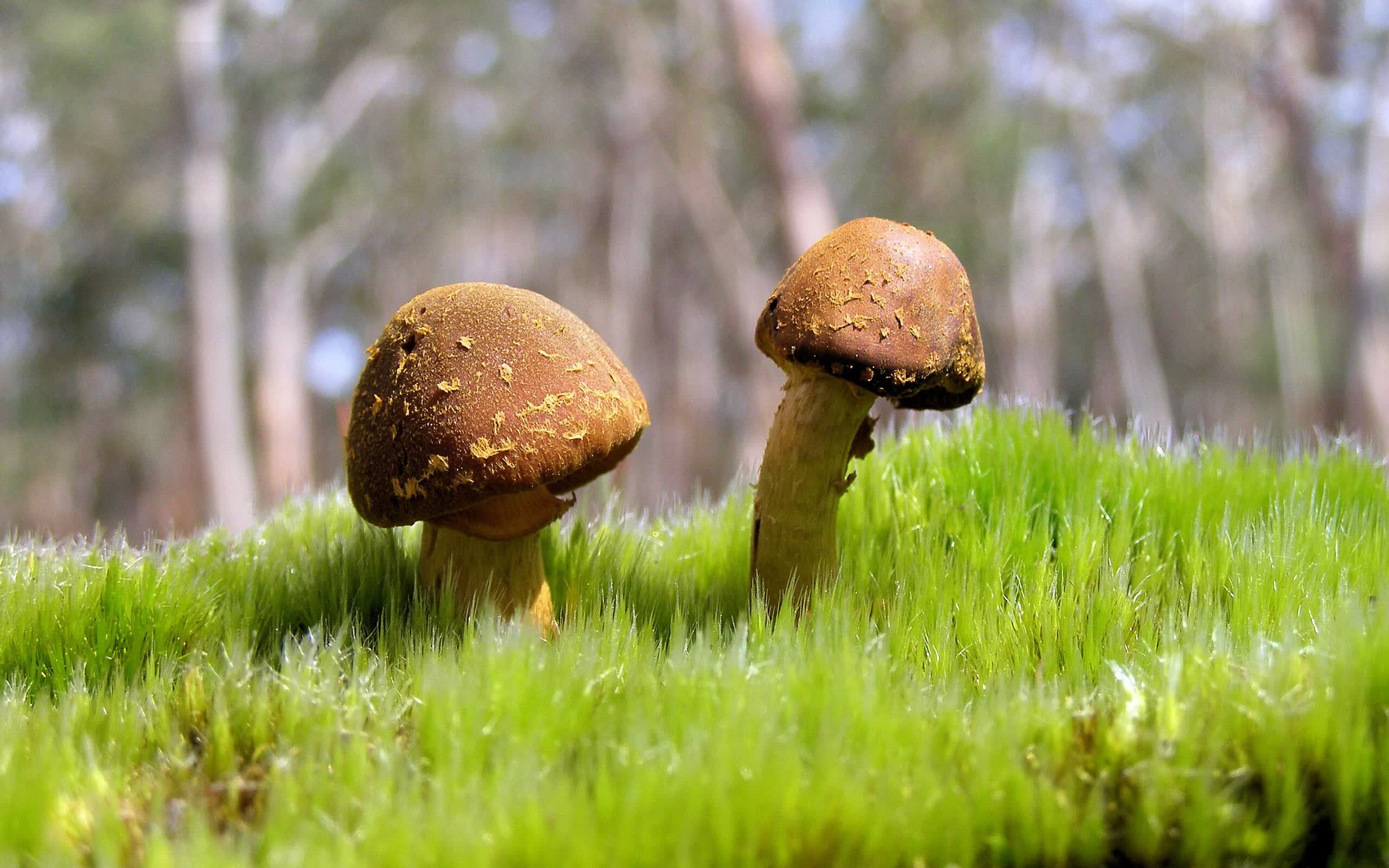 世界自行车跨界艺术赛：创意路线成为社媒热点，全球自行车设计比赛